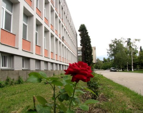 Аграрен университет – Пловдив